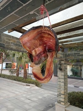 魚(yú)干