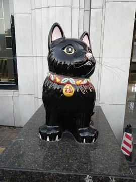 寵物貓