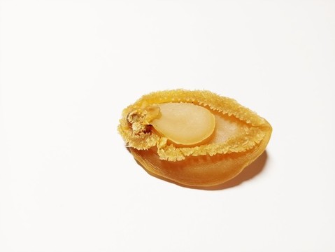 鮑魚