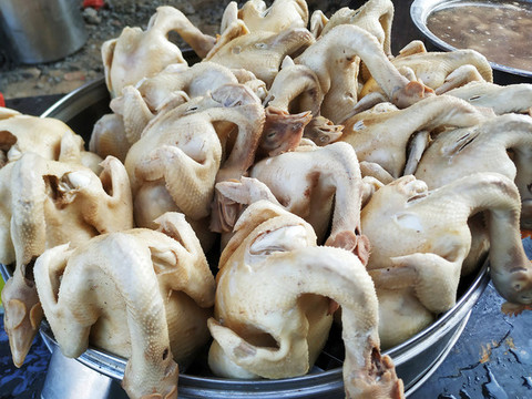 隔水蒸雞