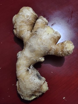 生姜特寫