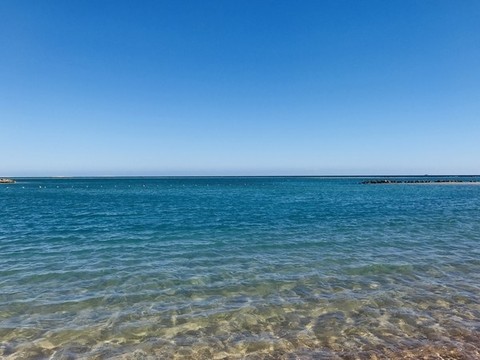 紅海