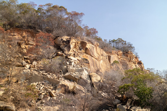 石山上樹(shù)林突起