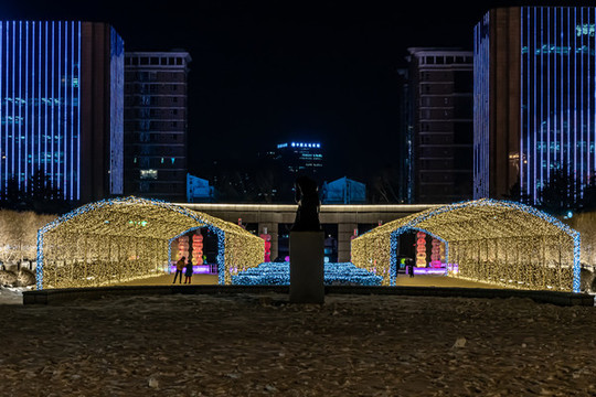 長春雕塑園冰雪新樂園夜晚景觀