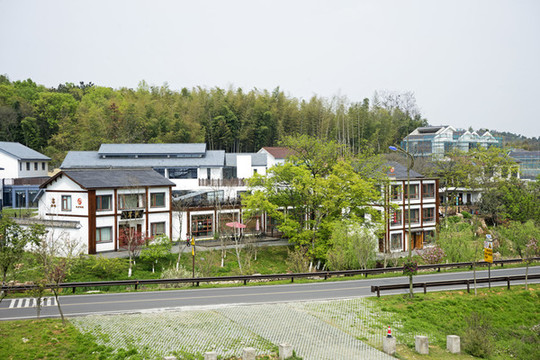 新農(nóng)村
