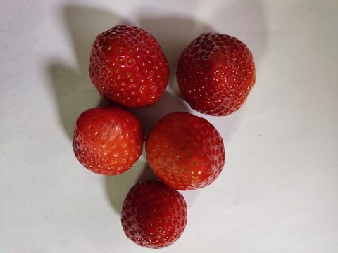 草莓
