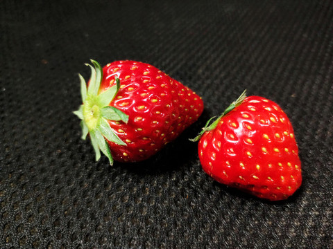 草莓