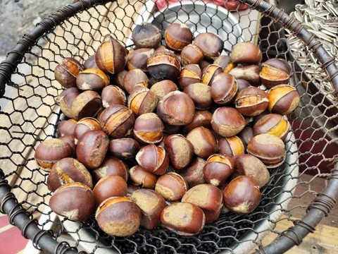 炒栗子