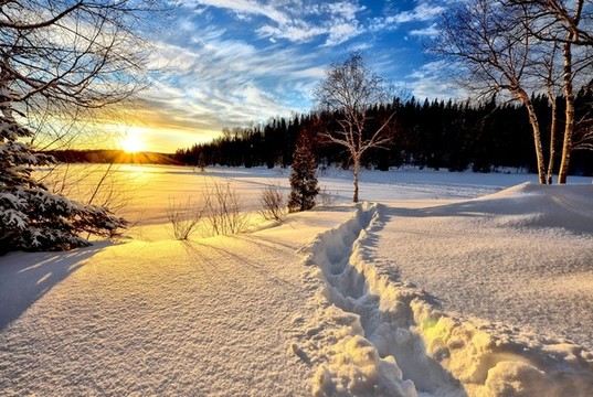 夕陽下的雪地