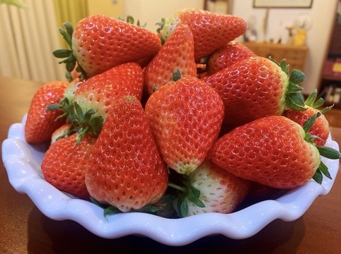 草莓
