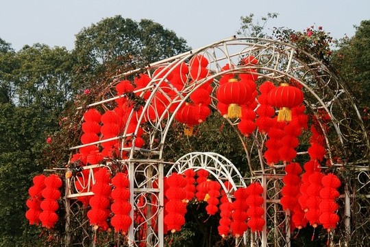 紅燈籠