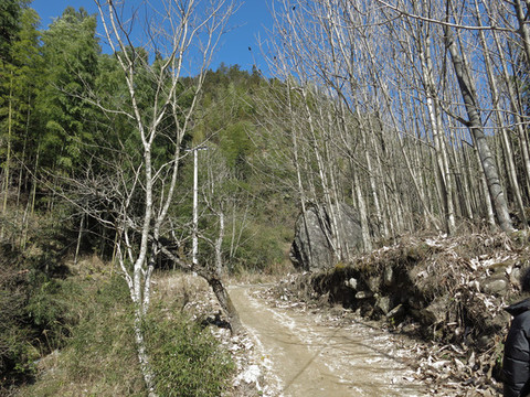 鄉(xiāng)間小路