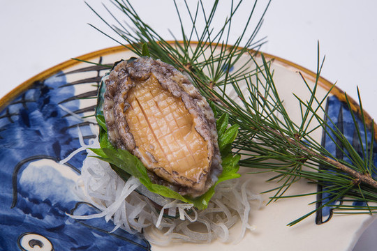 鮑魚刺身