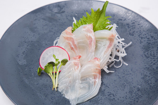 加吉魚刺身