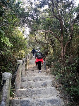 登山階梯