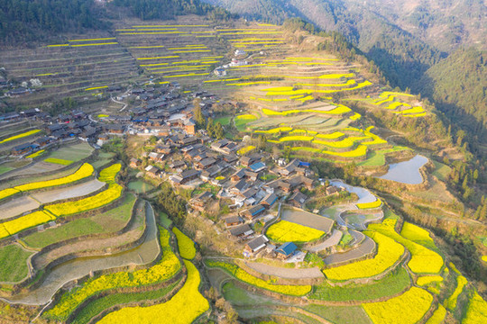 湖南湘西巖排溪梯田油菜花