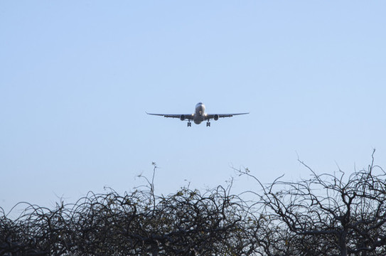 飛機