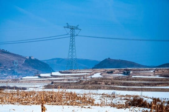 田野