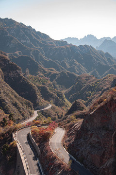 山