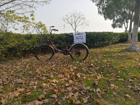 公園自行車