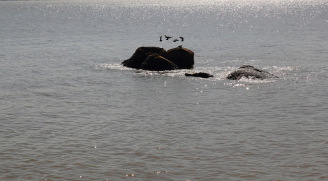 海灣