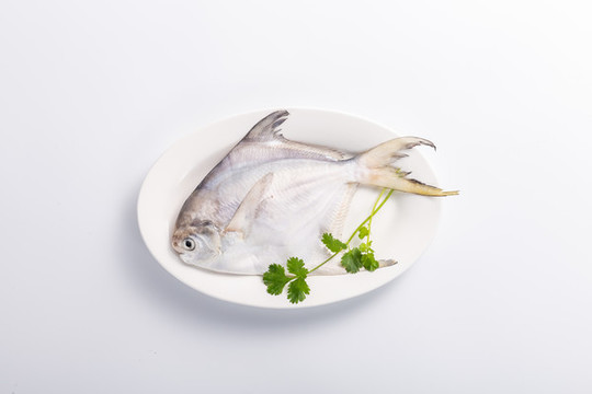 鯧魚