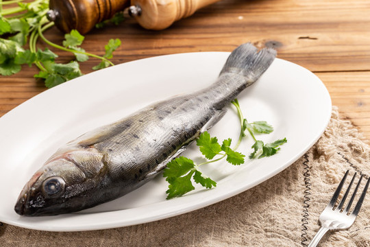 海鱸魚