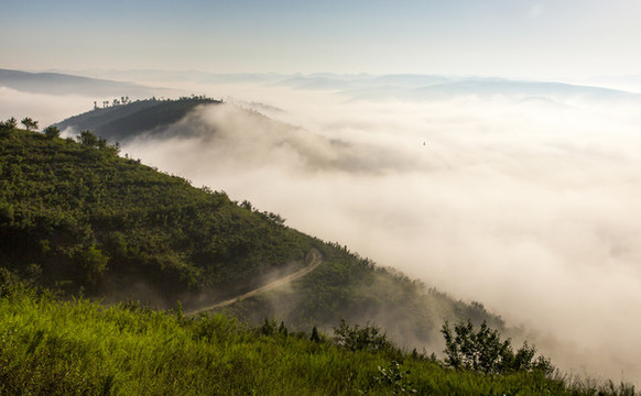 霧景