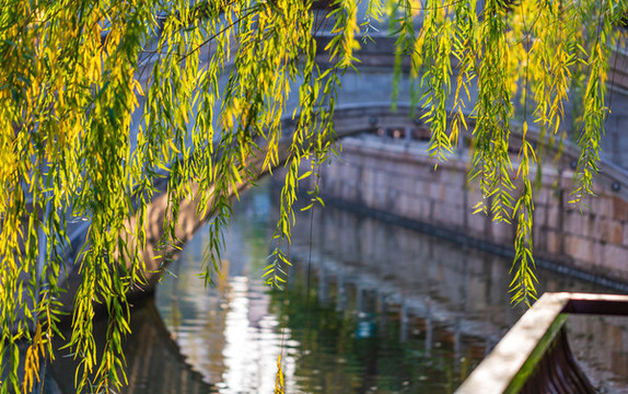 柳陰下的橋