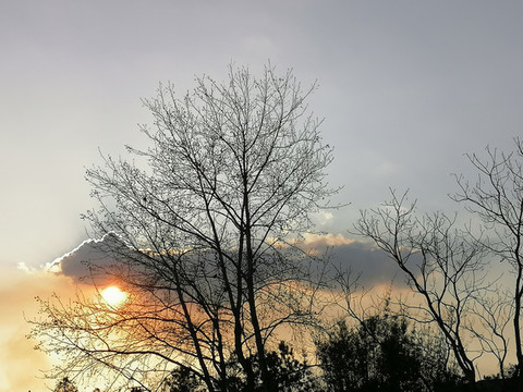 唯美夕陽