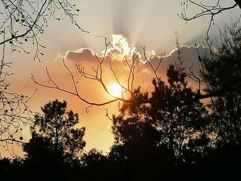 夕陽(yáng)