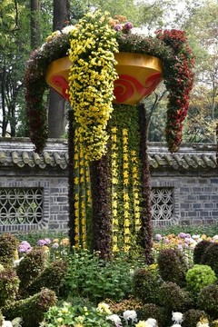菊花展