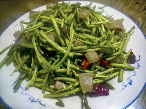 臘肉炒魚腥草