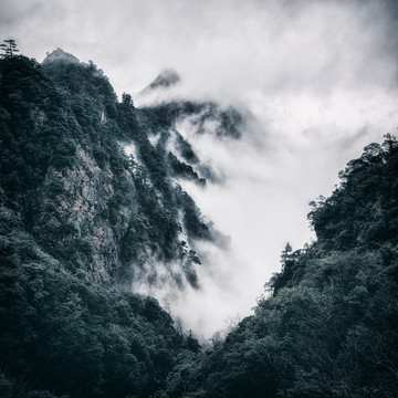 莽山風(fēng)光