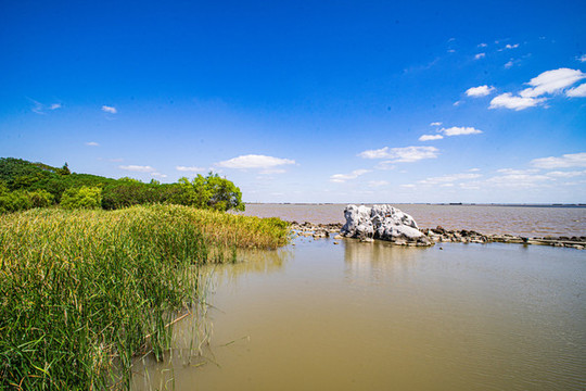 濕地公園