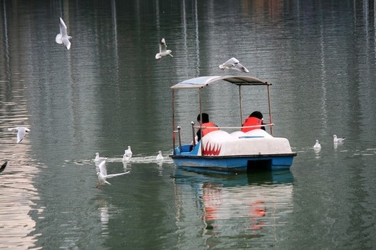 游船