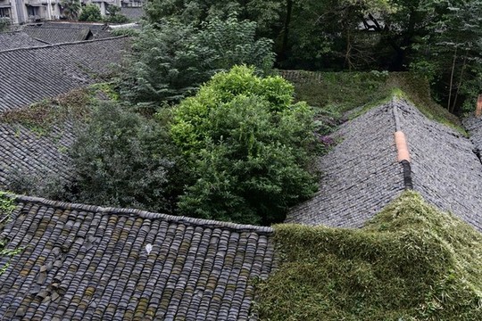 青瓦房