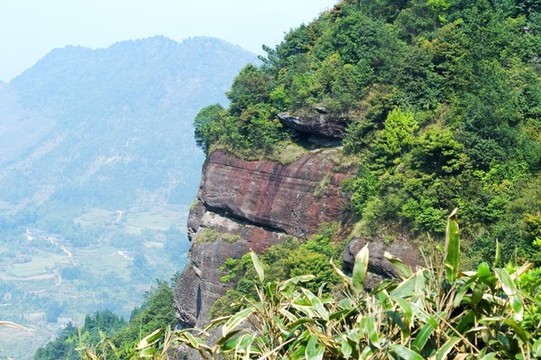 高山綠樹