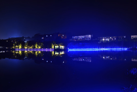 枝城鎮(zhèn)西湖公園夜景
