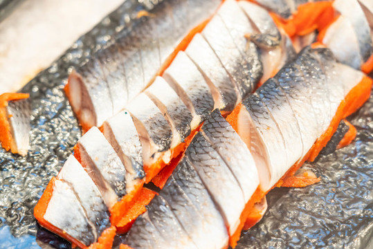 希鯪魚(yú)