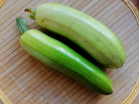 西葫蘆