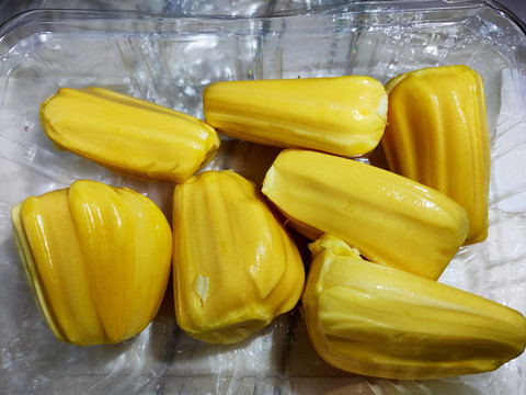 菠蘿蜜
