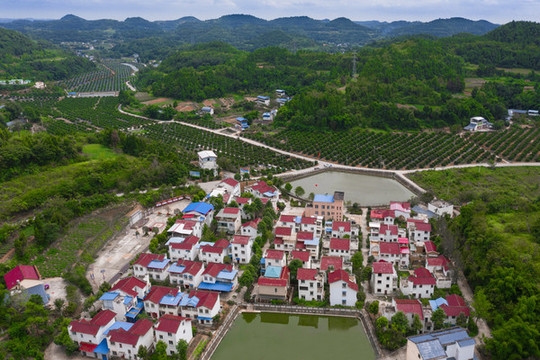 高家溝