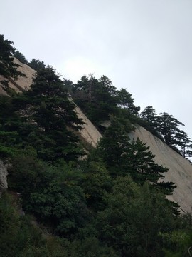 華山