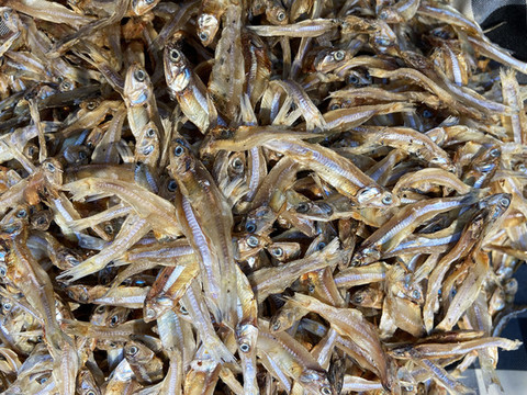 小魚干