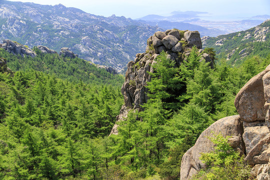 青島嶗山春光