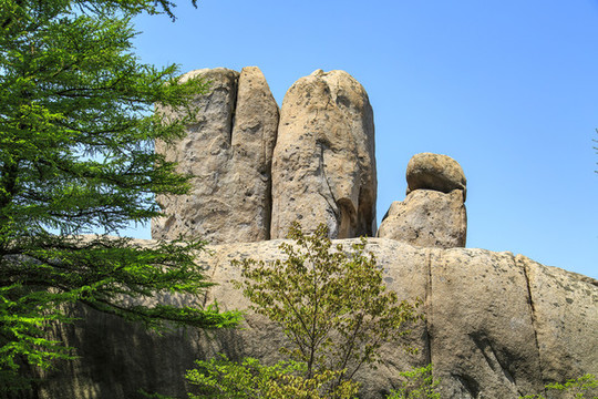 青島嶗山春光