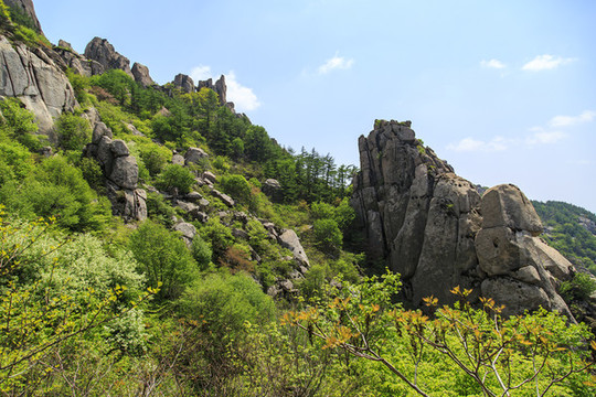 青島嶗山春光