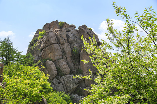 青島嶗山春光