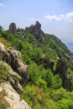 青島嶗山春光